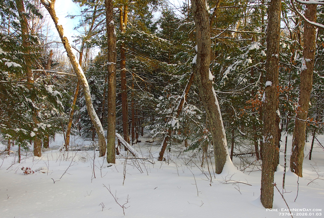 73764CrReLeUsm - Snowshoeing with John - Deb
